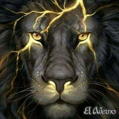 Profile Picture of Juan Carlos Sada (@JuanCarlosSada1) on Twitter