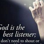 Profile Picture of Mark Antonello (@antonello_mark) on Instagram