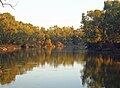 Riverina - Wikipedia Profile Picture of Riverinaon Wikipedia