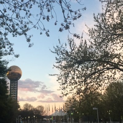Profile Picture of Bob Dancan (@joy_curry13) on Twitter