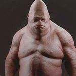 Profile Picture of Brian Steadman (@steadman1052) on Instagram