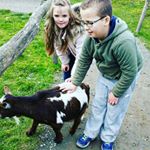 Sophie marie Bailey cline - Instagram Profile Picture of Sophie marie Bailey cline (@sophiemariebaileycline) on Instagram