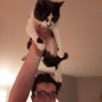 Profile Picture of Nicholas Evers (@evers_nicholas) on Instagram