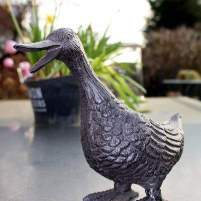 Profile Picture of Robert Windt (@robertwindt) on Twitter