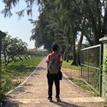 Profile Picture of KOH 🤓 (@_vincentkoh_) on Instagram