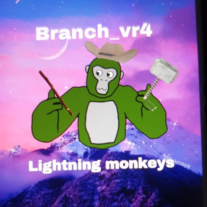 Profile Picture of branch_vr (@branch_vr4) on Tiktok