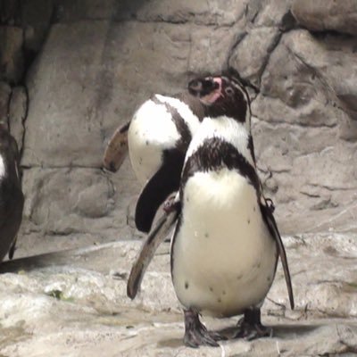 Profile Picture of John Shoup (@JohnShoup63) on Twitter