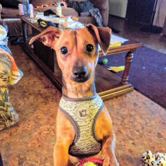 Profile Picture of James Hallman (@jameshallman) on Poshmark