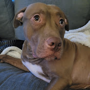 Profile Picture of Cat Dostaler (@catherinedostaler9366) on Youtube