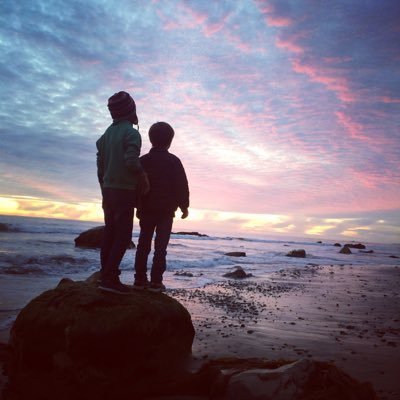 Profile Picture of Susan Schechter (@AntisusanSusan) on Twitter