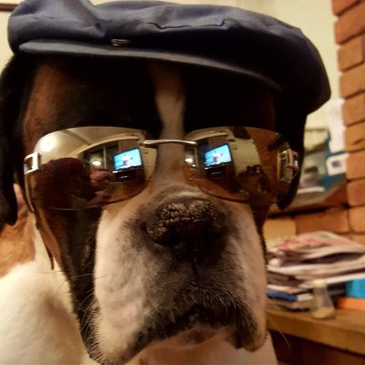 Profile Picture of Hannah Dowling (@Spanner1979) on Twitter