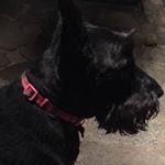 Profile Picture of Eric Dumoulin (@dumouline) on Instagram