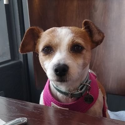 Profile Picture of Chris Hooper (@ChrisEHooper) on Twitter