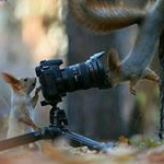 Profile Picture of tomass_crown (@tomass_crown) on Instagram