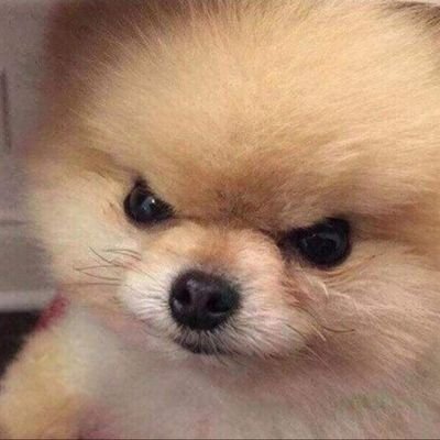 Profile Picture of DanI (@DanI_lalla) on Twitter