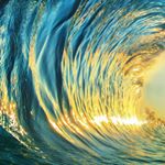 Profile Picture of David Katsel (@katseldavid) on Instagram