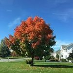 Profile Picture of Michael Fedele (@mikefedele63) on Instagram