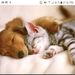 Profile Picture of sheldon Walters (@sfw123006) on Pinterest