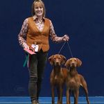 Profile Picture of Dawn Carter (@dawncarter9421) on Instagram