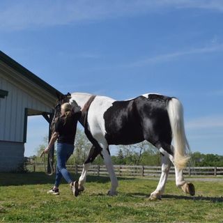 Profile Picture of Dawn Breda (@dbreda129) on Instagram