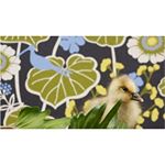 Profile Picture of Rubinstein Bernard (@rubinsteitbernari) on Instagram