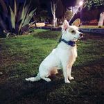 Profile Picture of Gerardo Romero (@gerardo.romero.92167) on Instagram