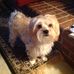 Profile Picture of Sherry Swaim (@sherry.swaim.56) on Facebook