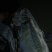 Jason Beckman - Youtube Profile Picture of Jason Beckman (@jasonbeckman842) on Youtube