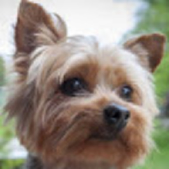 Profile Picture of Aerial Taylor (@aerialtaylor) on Poshmark