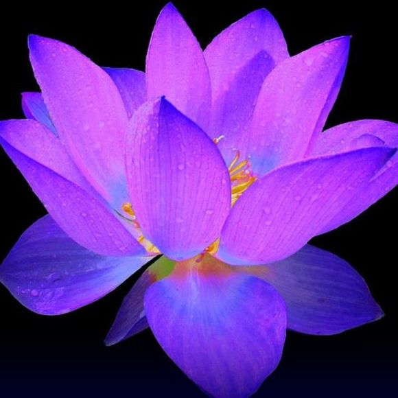 Profile Picture of Brian Nagata (@xoxo_shop) on Poshmark