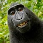 Profile Picture of Zachary Bergman (@zbergman2411) on Instagram