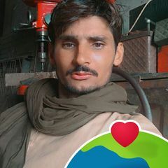 Profile Picture of Amir Toba (@amir.toba) on Tiktok