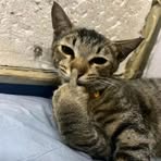 Profile Picture of Pickles R Good (@Pickles-R-Good) on Facebook