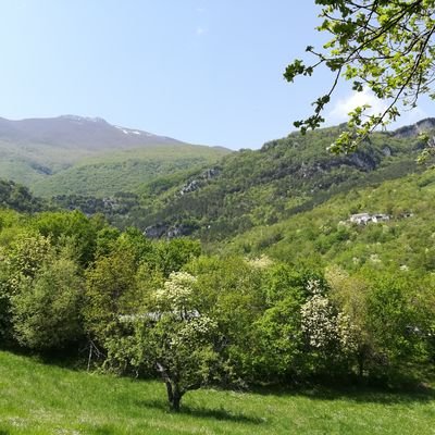 Profile Picture of Giuseppe Miceli (@gius_miceli) on Twitter
