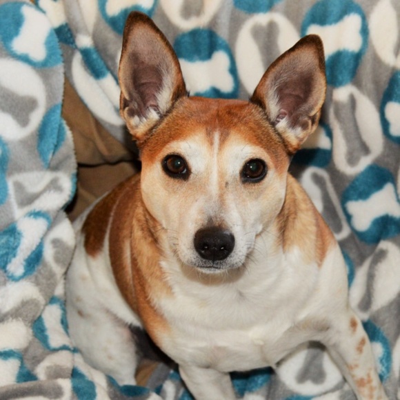 Debbie Jubb - Poshmark Profile Picture of Debbie Jubb (@debyak) on Poshmark