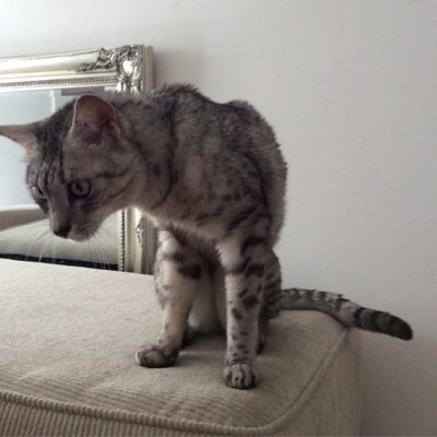 Profile Picture of Matthew Eardley (@MatthewEardley1) on Twitter