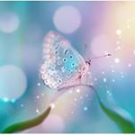 Profile Picture of Sriveena Sridasyam (@sriveenasridasyam) on Instagram