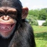 Profile Picture of James Posada (@james69673) on Instagram