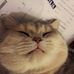 Profile Picture of Gui Lam (@gui.lambeets.3) on Facebook
