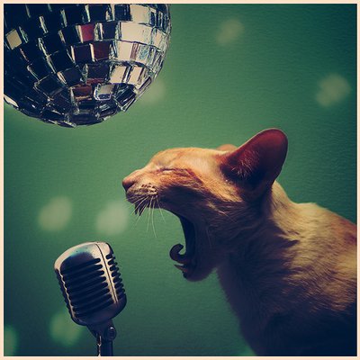 Profile Picture of ΣΛЯП (@MarcAndrae) on Twitter