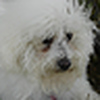 Profile Picture of Alex Tony (@Alex Norton) on Flickr