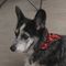 Profile Picture of Dennis Ackerson (@dennis.ackerson) on Facebook