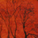 Profile Picture of Chuchi_go (@chuchi_go) on Flickr