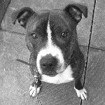 Profile Picture of Tyler Vickers (@vickerstyler66) on Instagram