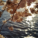 Profile Picture of Lee woo sung (@At One Movement) on Flickr