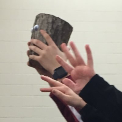 Profile Picture of Steve The Stump (@stevethestumpDT) on Twitter