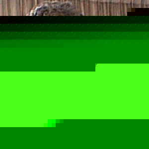 Profile Picture of Eric Bos (@142843048) on Myspace