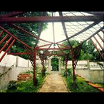 Profile Picture of Nicholas Marine (@blondiann) on Instagram