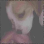 Profile Picture of Chad Colon (@stannorenrke) on Instagram