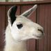 Profile Picture of Deanna Kelly (@deanna.kelly.5059) on Facebook